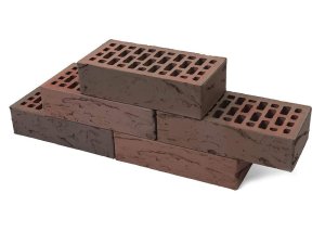 bavarka_bordo_kora_duba_1NF