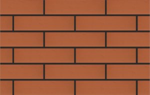 красный-гладкий-1нф