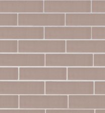 Серебро Гладкий